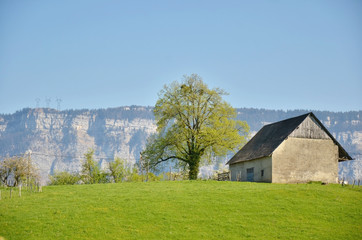 Fototapeta na wymiar Derrière d'une bergerie (Savoie)