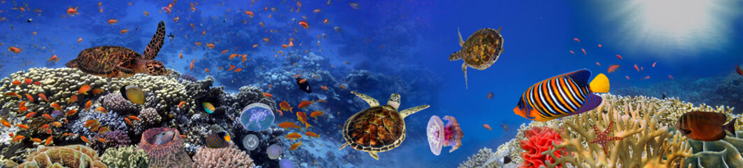 Fototapeta premium Podwodna panorama z żółwiem, rafą koralową i rybami