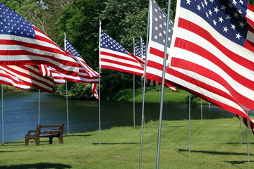 Bench of Remembrance 