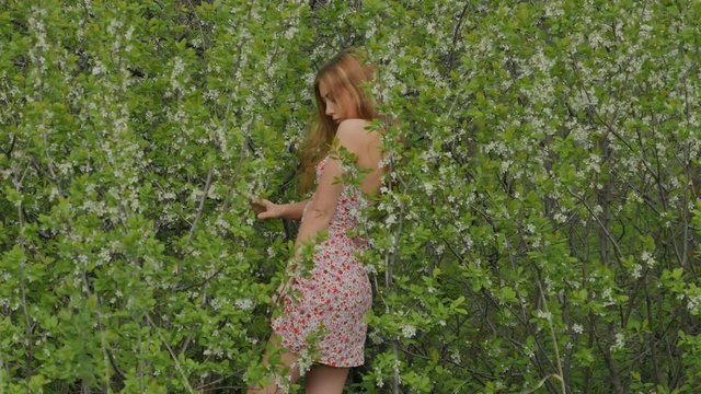 girl in a short dress in the middle of flowering blackthorn