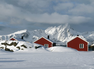 Winter auf den Lofoten © Dagmar Richardt