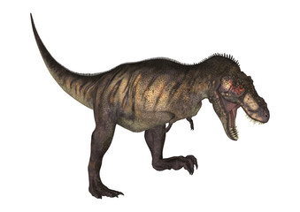 Fototapeta premium 3D renderowania dinozaurów Tyrannosaurus na białym tle