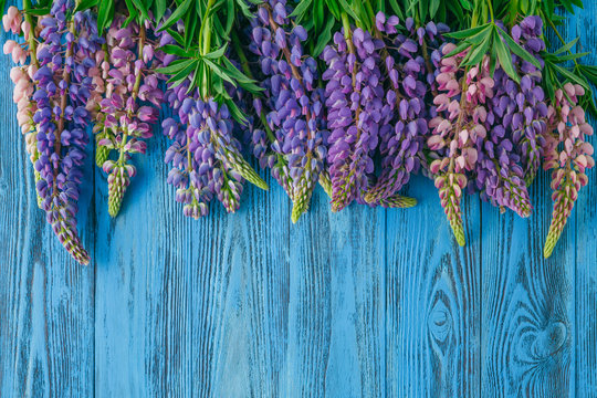 Fresh lupines arranged on old wooden background with copy space