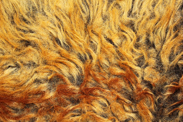 Yellow and brown fur texture