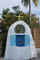 Plant de vigne au printemps