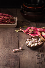 scodella con fagioli borlotti su tavole di legno