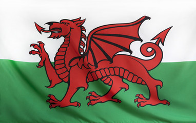 Wales Flag real fabric seamless close up