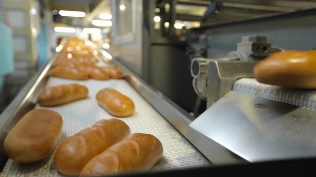 automatic conveyor belt in a bakery