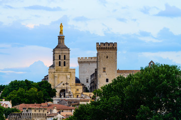 Fototapeta na wymiar Overlooking of Avignon pope palace