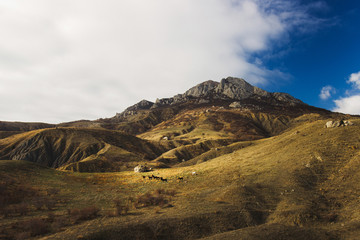Peaceful landscape with horse in sunset light