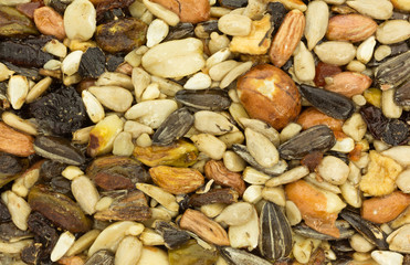 Close view of a bird food block