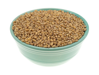 Bowl of red winter wheat berries isolated on white background.