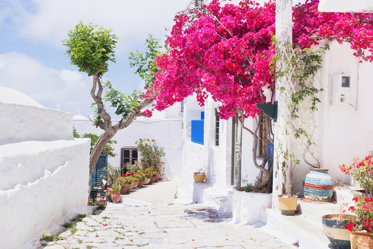 Fototapeta Traditional greek street with flowers in Amorgos island, Greece