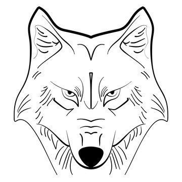 Wolf tattoo ink sketch