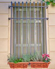 railings secured window with flower pots