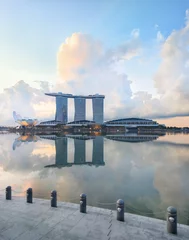 Foto op Aluminium View of central Singapore © lena_serditova