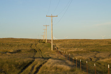 Countryside farm field with a row of wooden electrical poles  