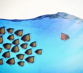 Foto op Canvas Many fishes in blue water. Against the stream concept © Africa Studio