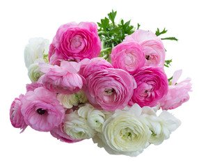 Pink and white ranunculus flowers