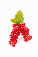 Johannisbeeren auf weissem Untergrund