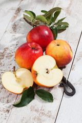 Rote Äpfel,Ecolette, Zweig, Blatt, Blätter, heller Holzuntergr