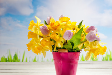 Tulpen (Tulipa), und Narzissen (Narcissus), Osterglocken, gelb,