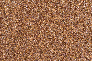 Teff grain layer close view.