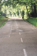Fototapeta premium Empty Country Road in Nature