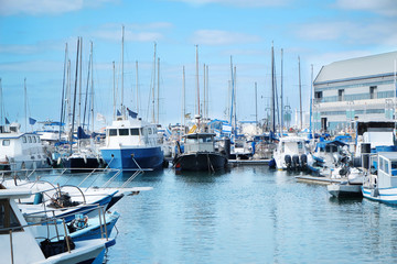 Fototapeta premium Yachts in bay