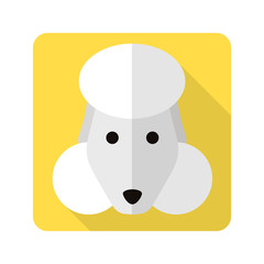 dog flat icon
