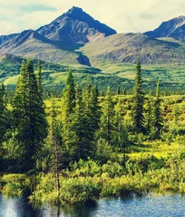 Crédence de cuisine en verre imprimé Denali Mountains in Alaska