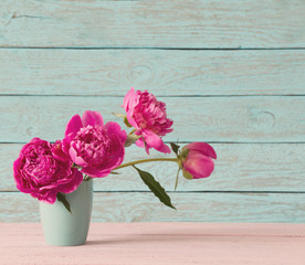 pink peony on blue background