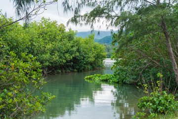 Fototapeta premium Kahana Bay garden on the North Shore of Oahu HawaII