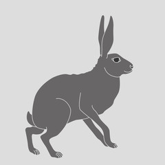 gray rabbit sits a vector illustration
