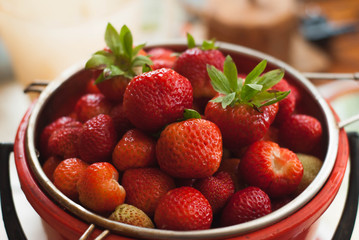 bucket full of freshly picked strawberries,