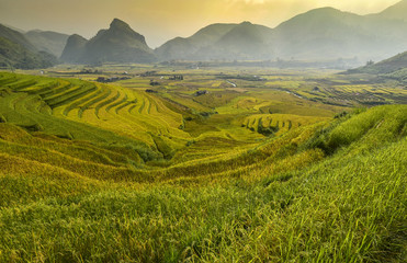 Fototapeta premium Mu Cang Chai is a rural district of Yen Bai Province, in the Northeast region of Vietnam. The most of area is rice terrace.The paddy turns golden in september of each year.
