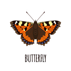 Realistic butterfly in flat style.