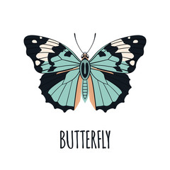 Realistic butterfly in flat style.