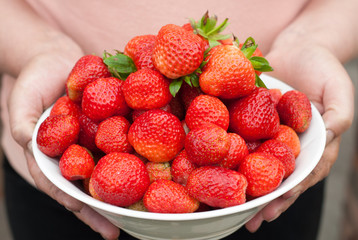 White dishware with strawberries in the hands of women
