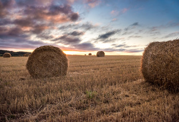 Haystacks on the field. Autumn Harvest, Agriculture landscape