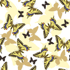 Butterflies seamless pattern