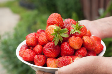 White dishware with strawberries in the hands of women