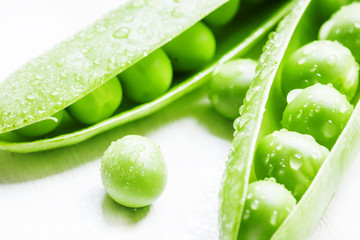 Green peas in pods on a white background, not isolated, macro sh