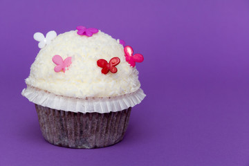 cupcake mit Kokosraspel und bunter Dekoration mit einfarbigem Hintergrund in violett