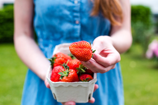 Junge Frau hält frische Erdbeeren