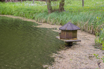 Small pond in the park.