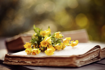 Old open book and bouquet of yellow buttercups.