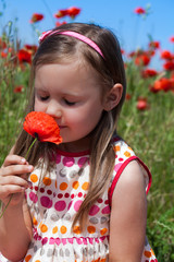Kleines Mädchen riecht an einer Mohnblume, vertikal spiegelverkehrt