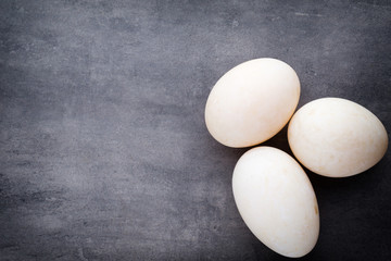  Duck eggs on a cage gray background.