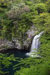 Fototapeta na wymiar Third tier of the Cheonjeyeon Falls on Jeju Island in South Korea viewed from above.